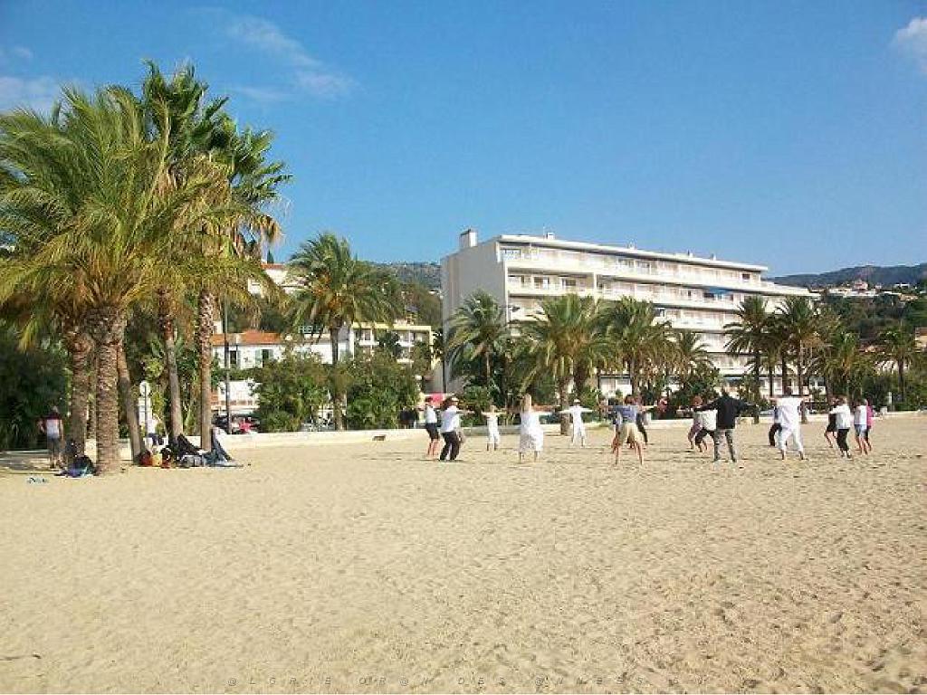 183 D36 LE LAVANDOU_000017.jpg